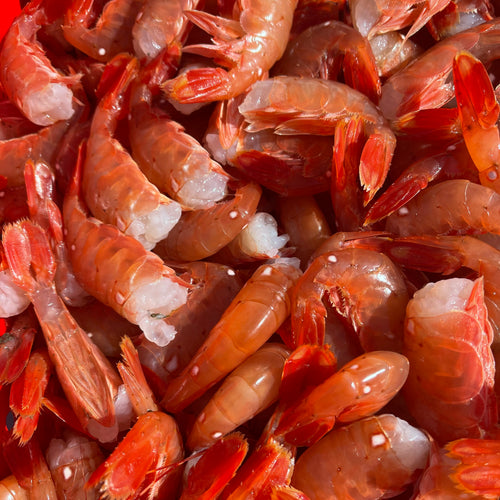 Shellfish