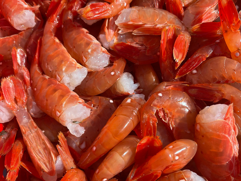 British Columbia Wild Local Spot Prawns