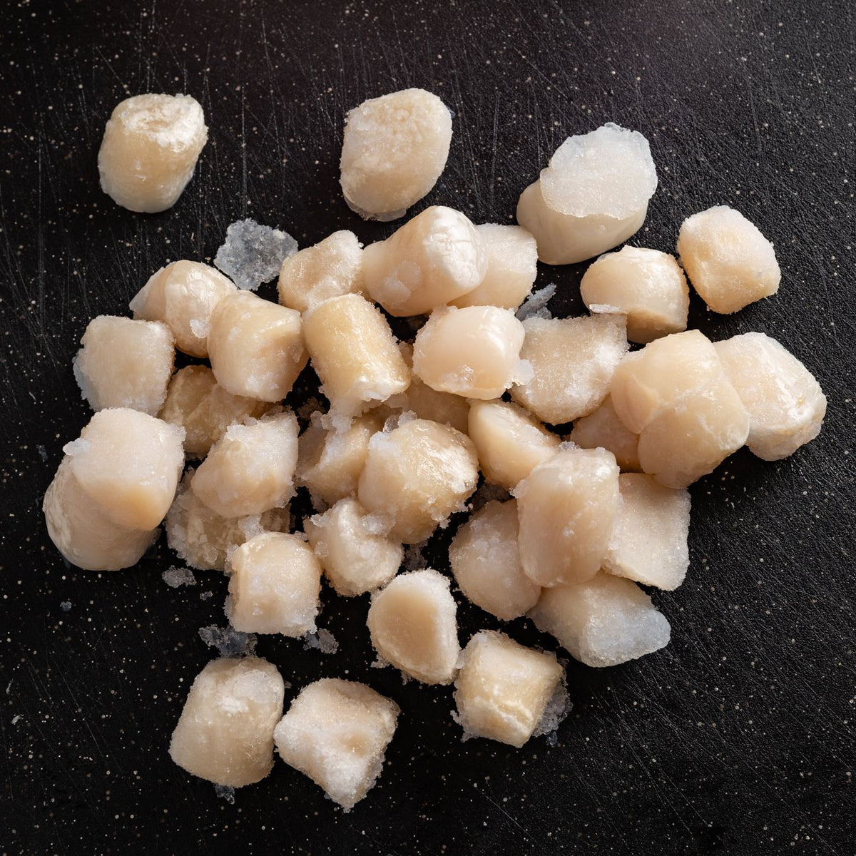 Scallops