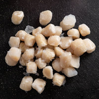 Scallops