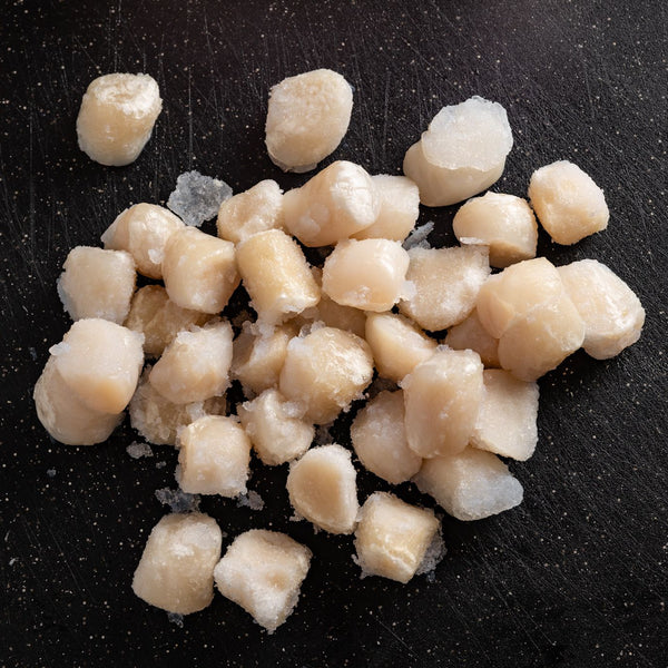Scallops