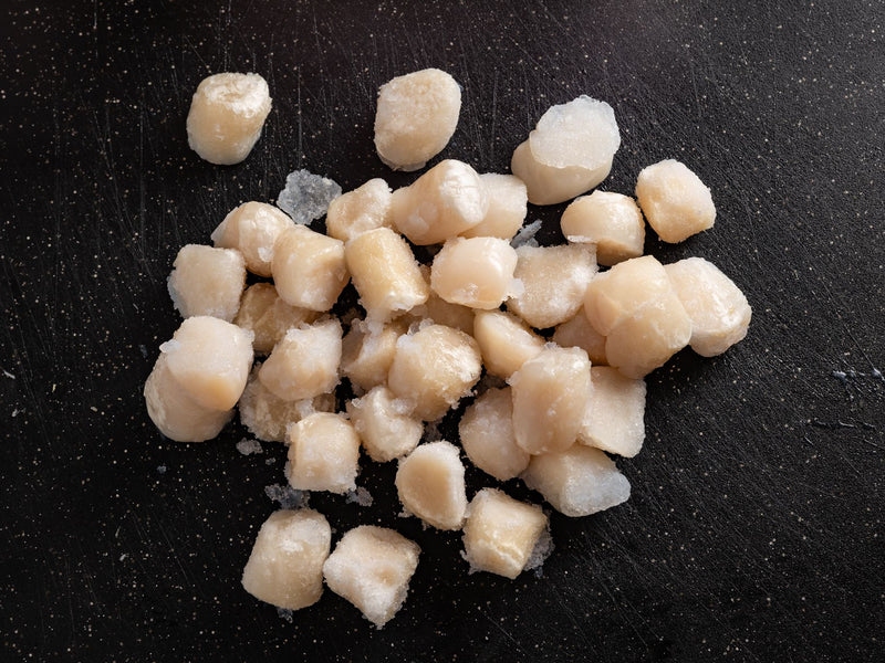 Scallops