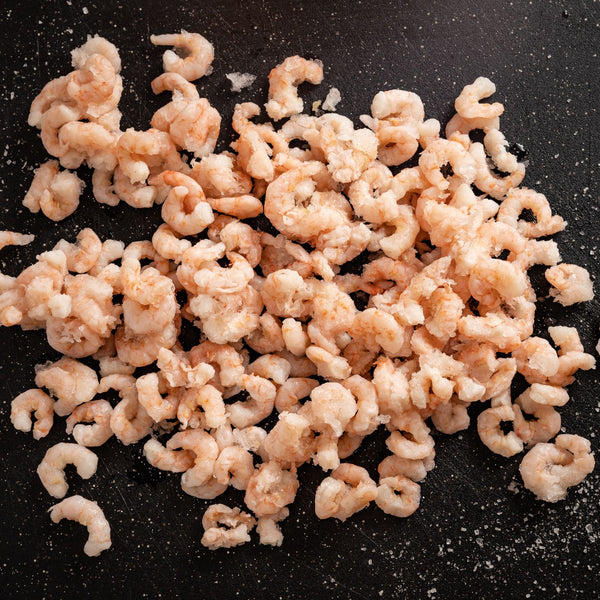 Shrimp