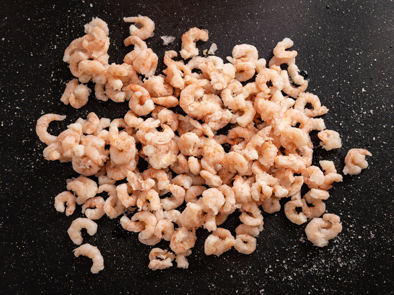 Shrimp